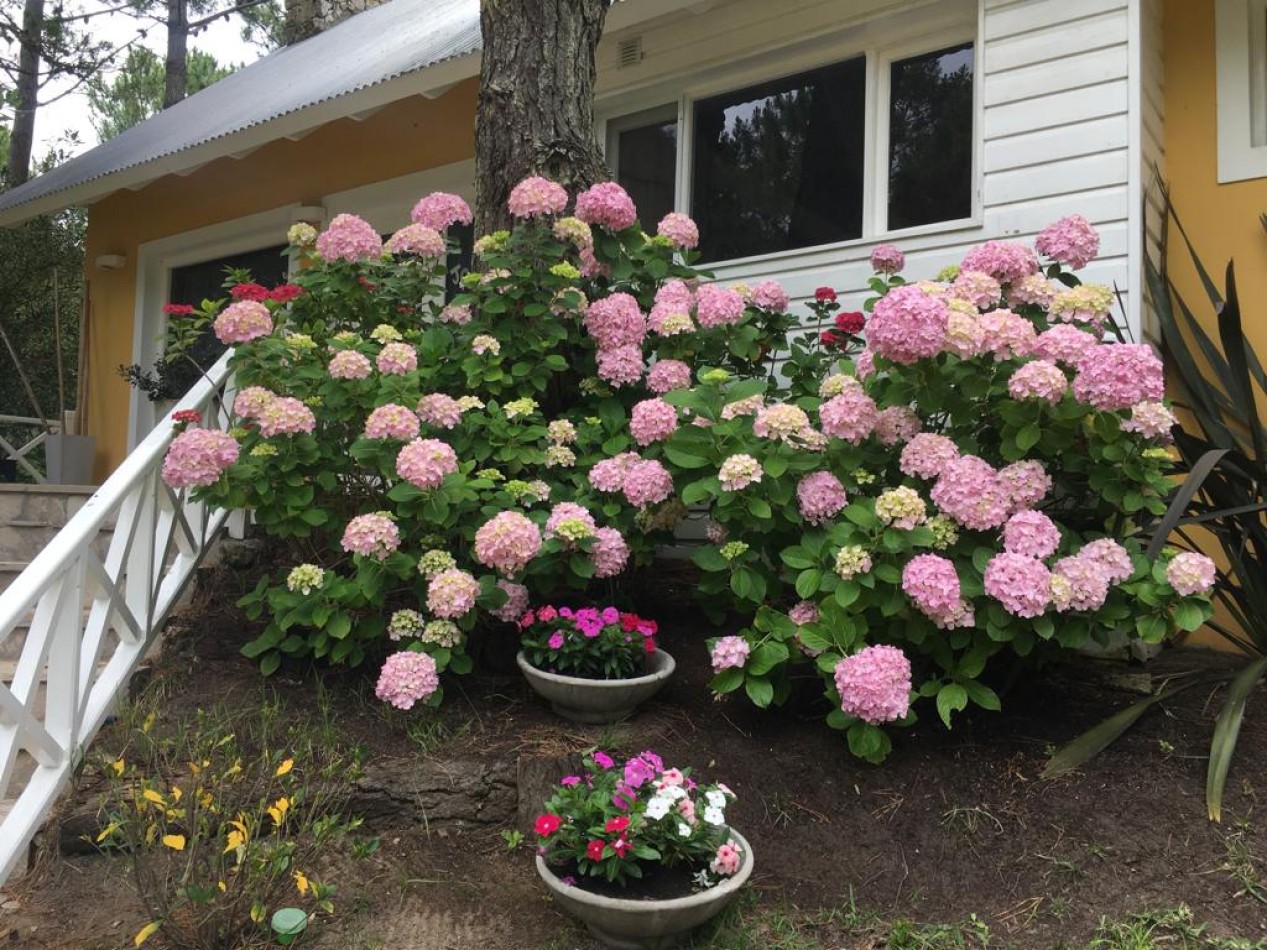 Lindisima casa con pileta en magnifico entorno de bosque