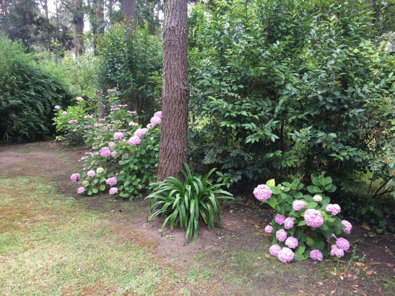 Lindisima casa con pileta en magnifico entorno de bosque