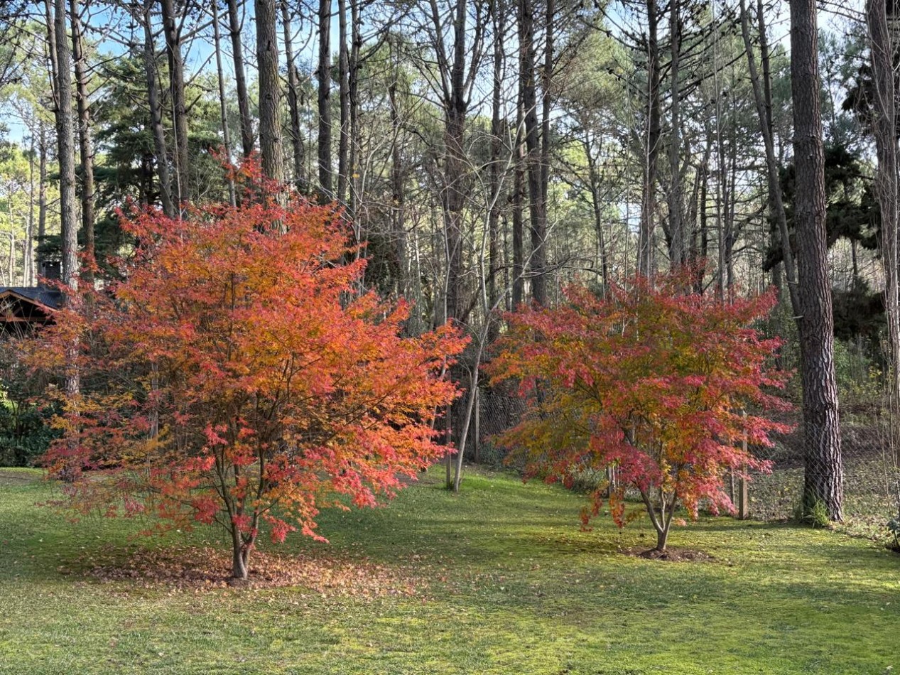 Linidisima casa en Carilo cerca del golf, con hermoso bosque.