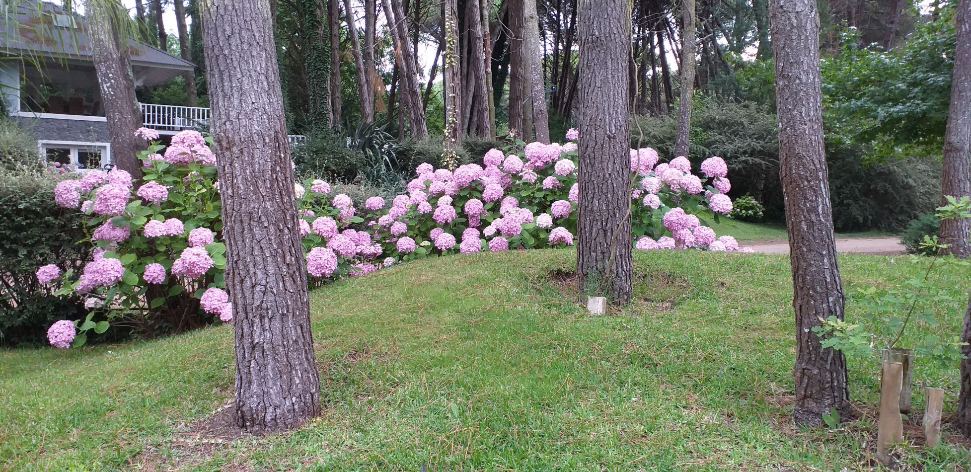Casa en Alquiler Temporal 4 AMBIENTES