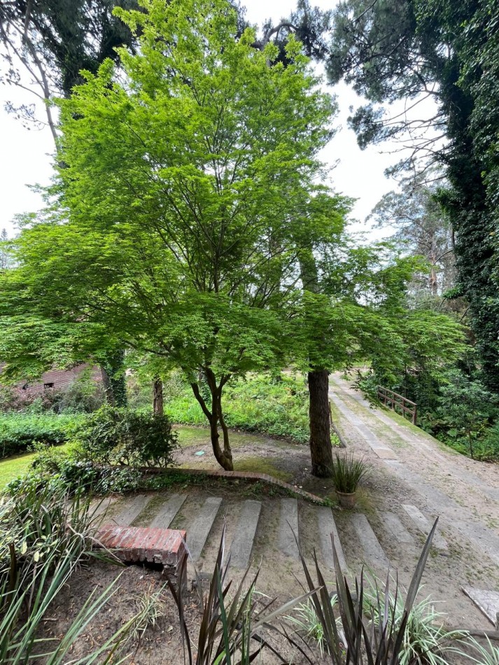 Esplendida casa a tres cuadras del mar y 5 del centro