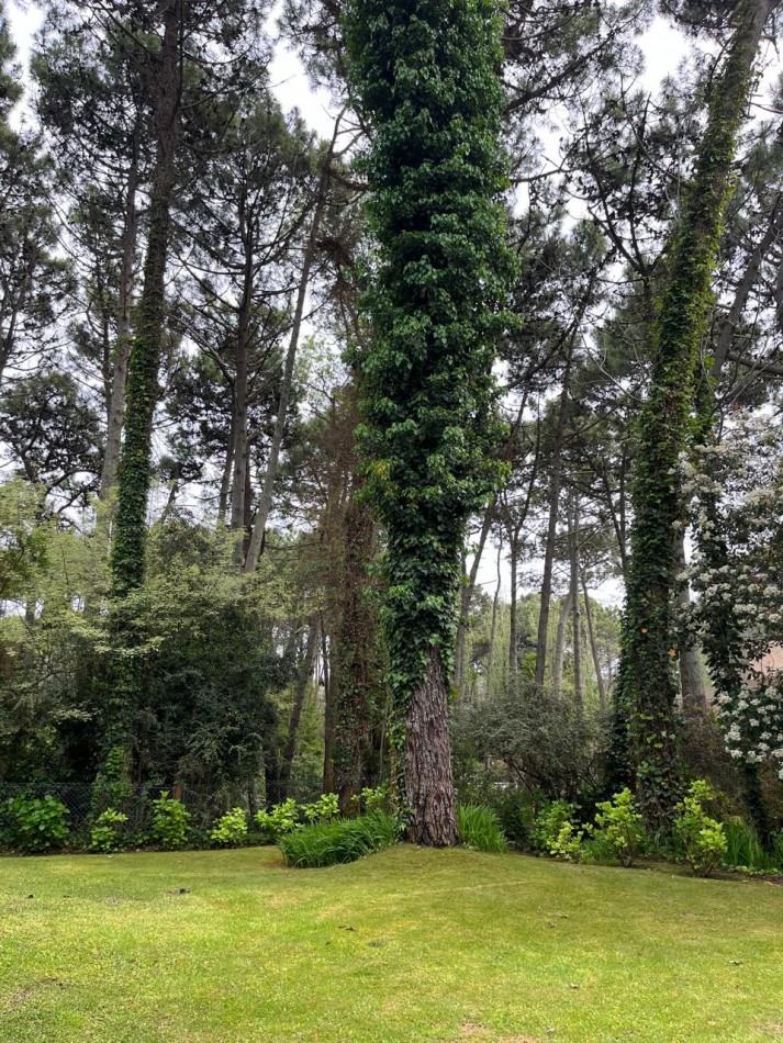 Esplendida casa a tres cuadras del mar y 5 del centro