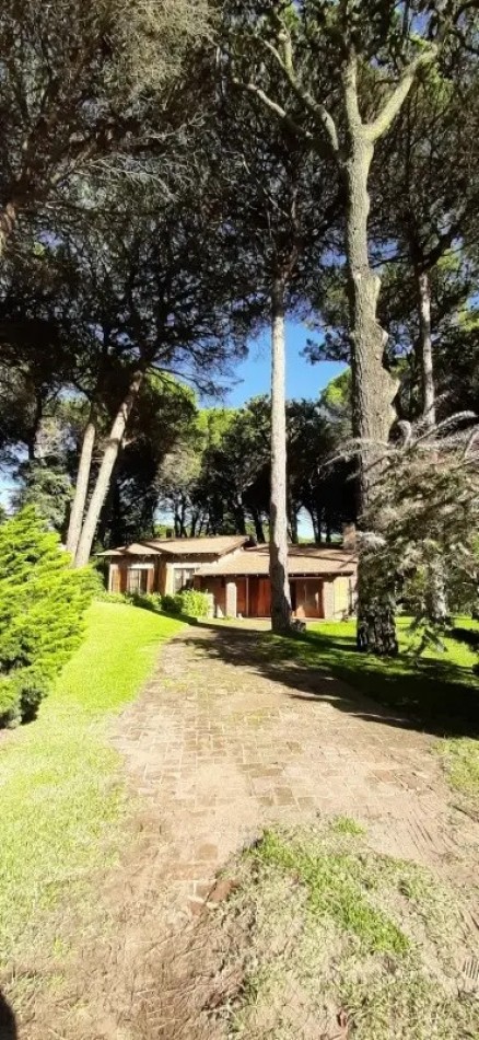 Excelente casa con pileta en el bosque de Carilo