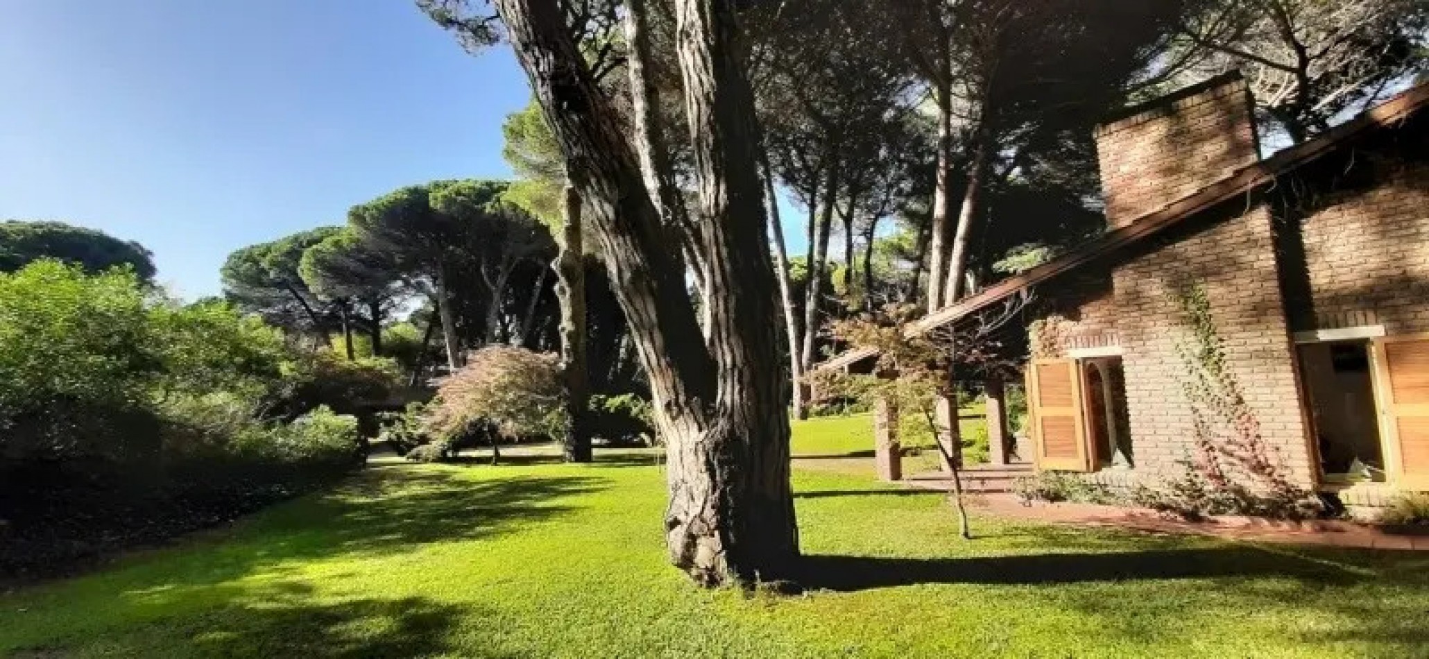 Excelente casa con pileta en el bosque de Carilo