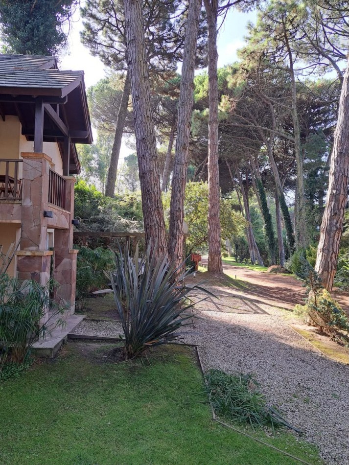 Esplendida casa en Carilo en excelente ubicacion.