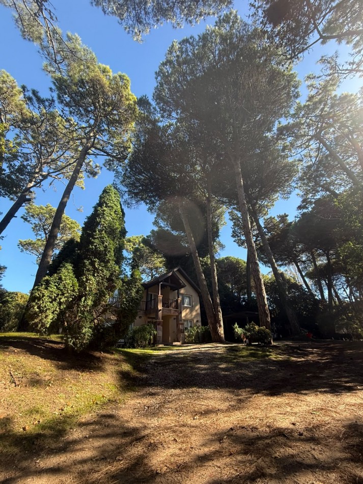 Esplendida casa en Carilo en excelente ubicacion.