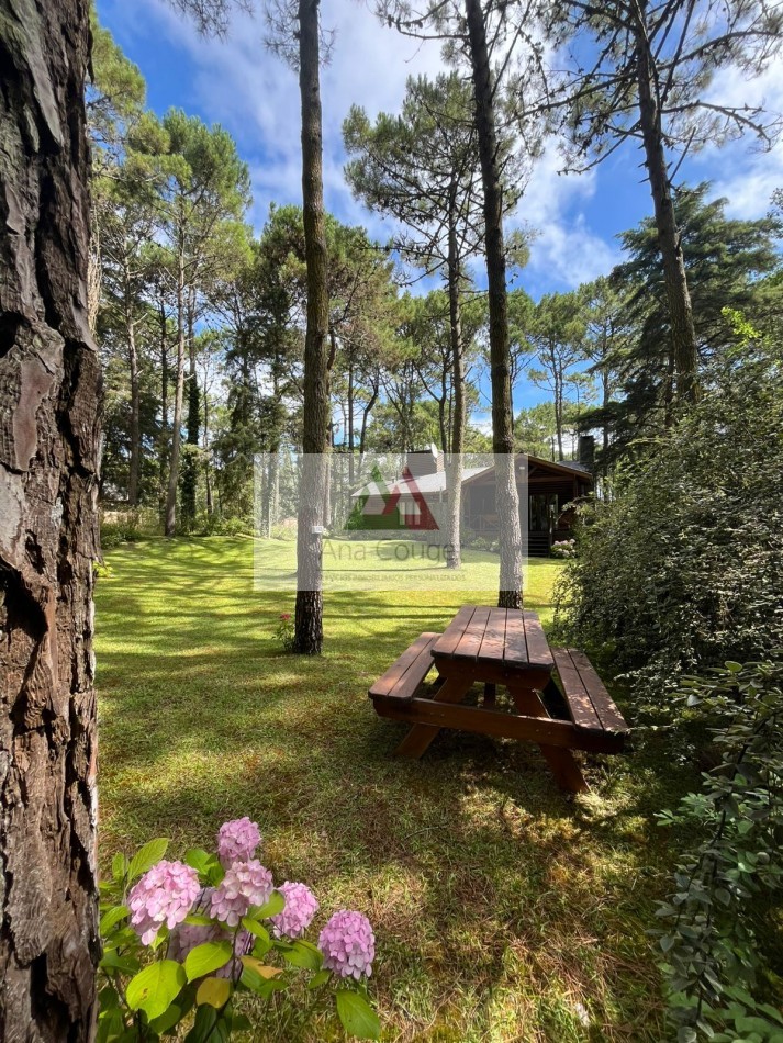 Pintoresca cabaña en el bosque de Carilo