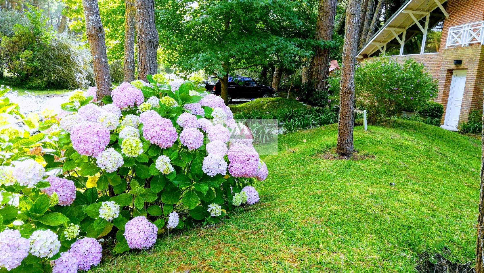 Casa en Alquiler Temporal 4 AMBIENTES