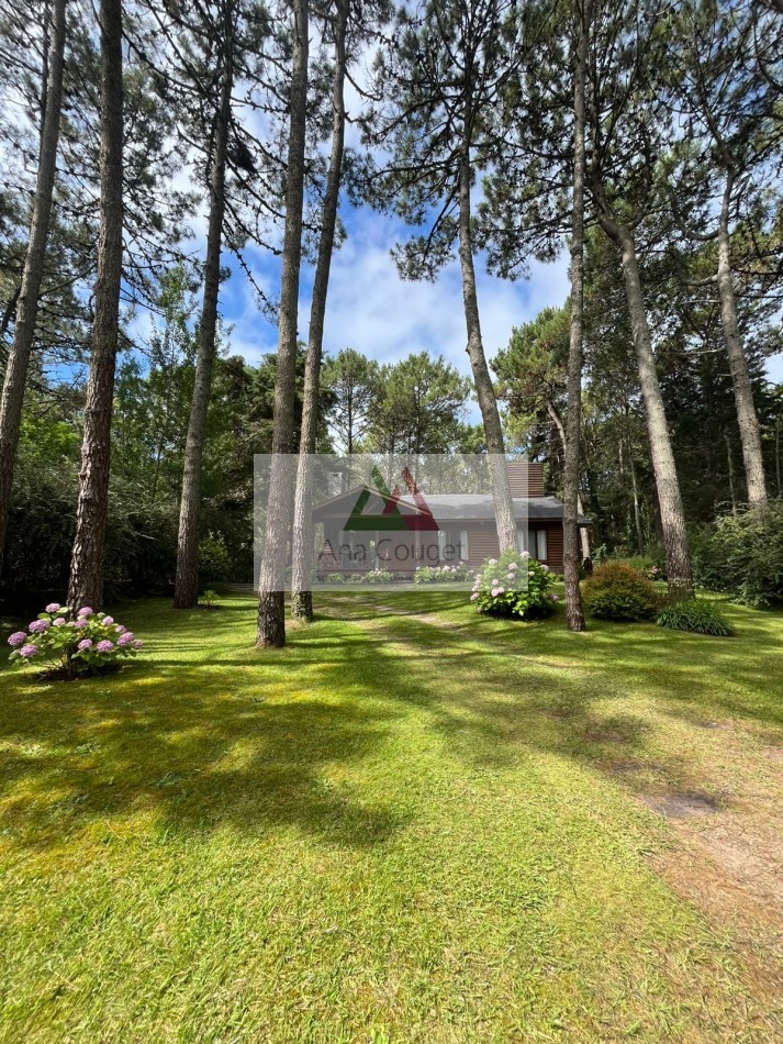 Pintoresca cabaña en el bosque de Carilo