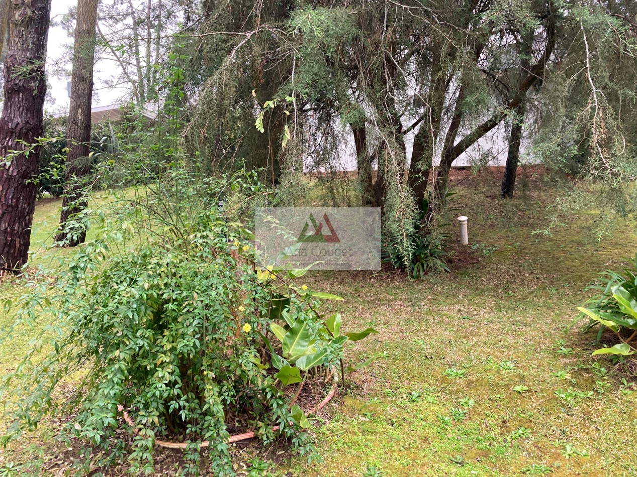 Excelente casa de 3 dormitorios, living comedor con hogar, parrilla.