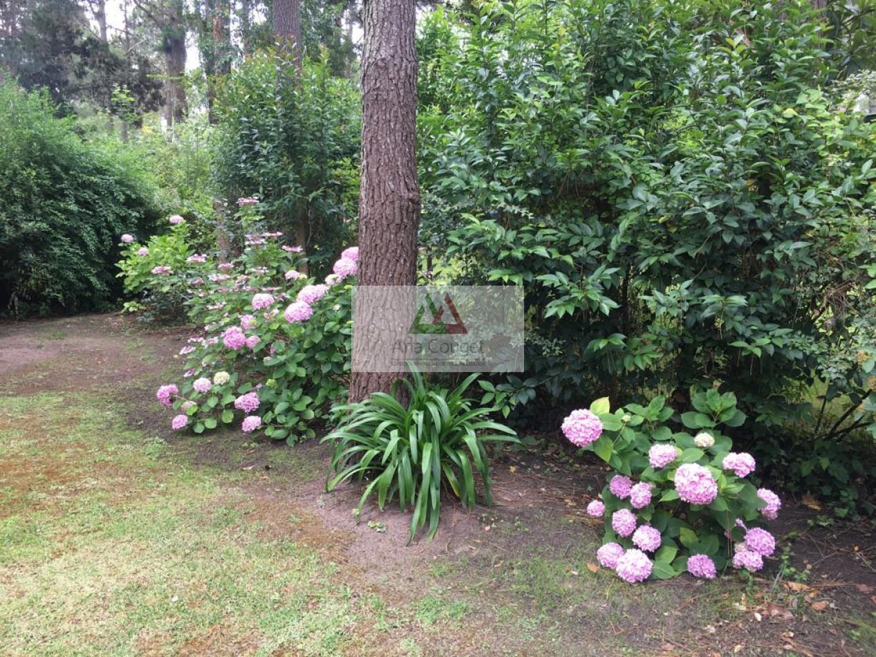 Lindisima casa con pileta en magnifico entorno de bosque