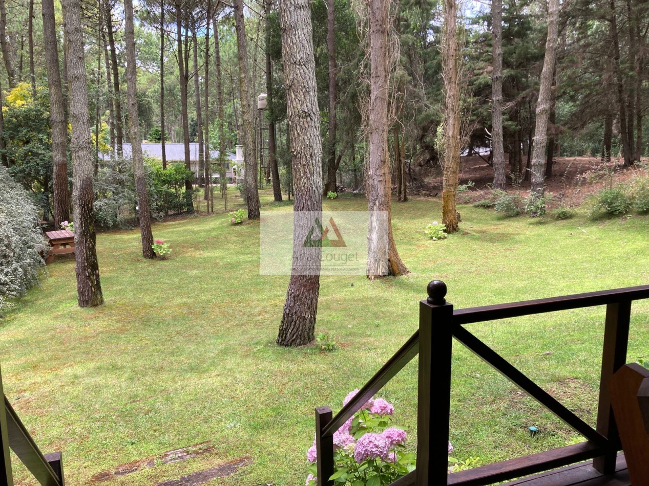 Pintoresca cabaña en el bosque de Carilo