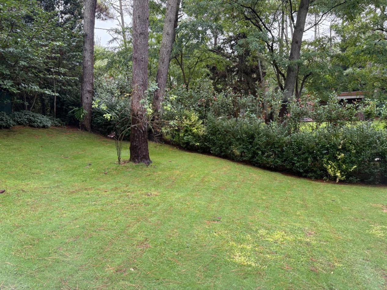 Maravillosa casa rodeada de bosque cerca del golf. 